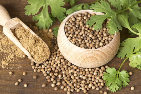 Herbs And Corps Coriander Seeds 454g